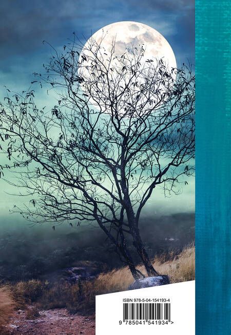Фотография книги "Лермонтов: Выхожу один я на дорогу..."