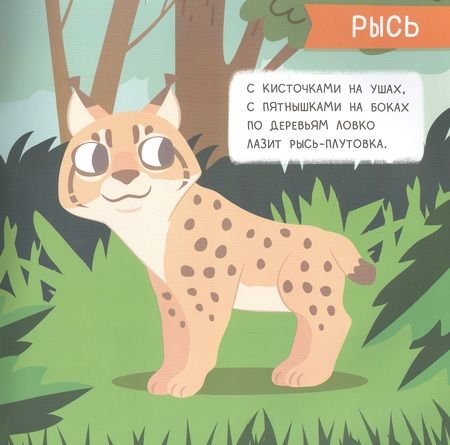 Фотография книги "Лес. Мини-энциклопедия для крохи"