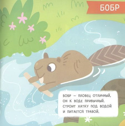 Фотография книги "Лес. Мини-энциклопедия для крохи"