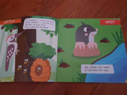 Фотография книги "Лес. Мини-энциклопедия для крохи"