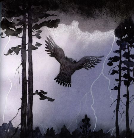 Фотография книги "Лес лунных сказок"