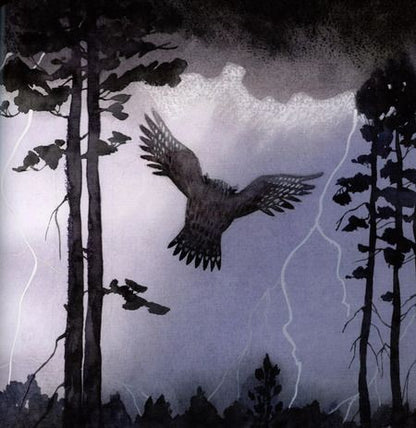 Фотография книги "Лес лунных сказок"