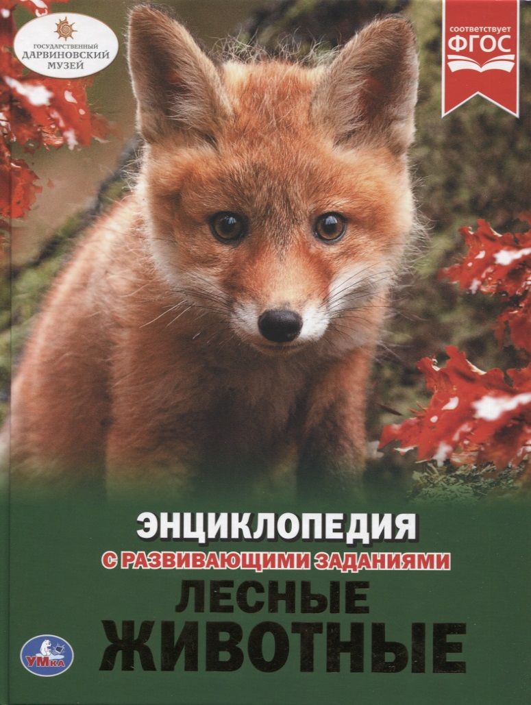 Обложка книги "Лесные животные. Энциклопедия с развивающими заданиями"