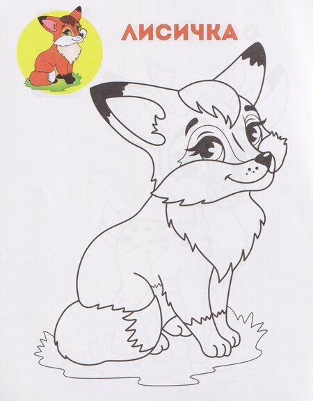 Фотография книги "Лесные зверушки. Книжка-раскраска"