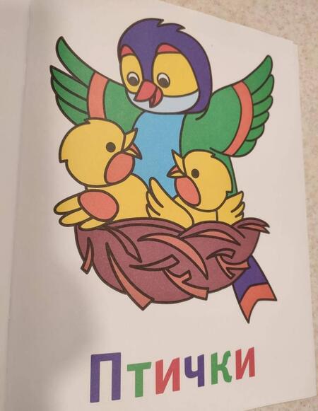 Фотография книги "Лесные зверушки 3+. Книжка-раскраска"