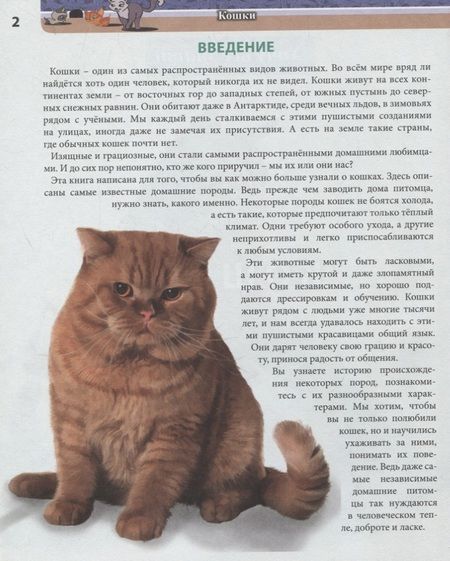 Фотография книги "Леся Калугина: Кошки. Энциклопедия"