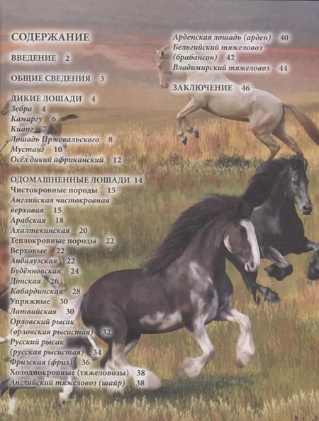 Фотография книги "Леся Калугина: Лошади. Энциклопедия"