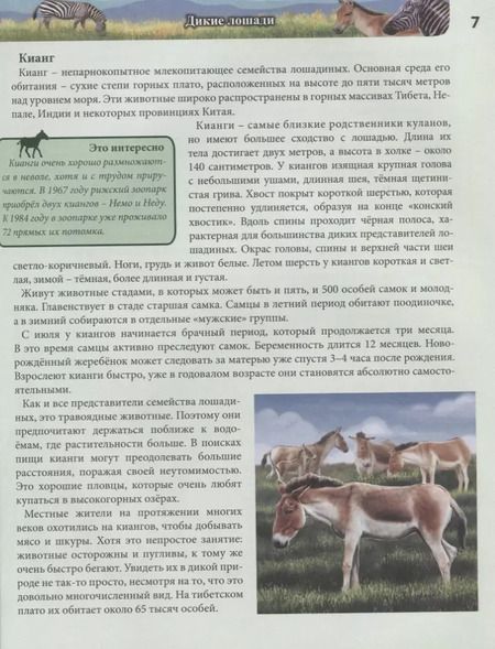 Фотография книги "Леся Калугина: Лошади. Энциклопедия"