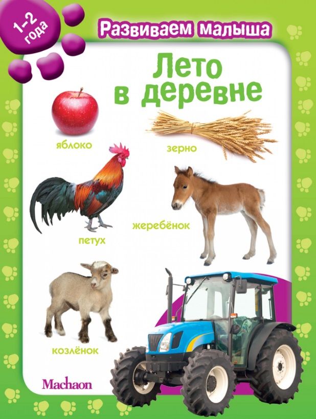 Обложка книги "Лето в деревне"