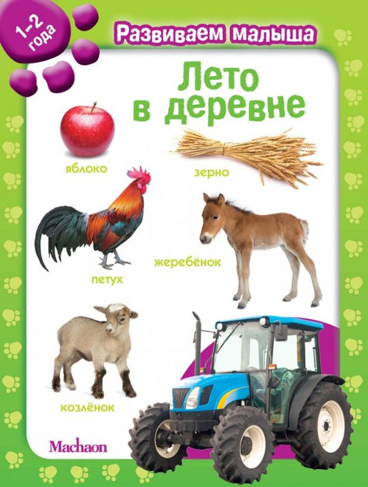 Обложка книги "Лето в деревне"