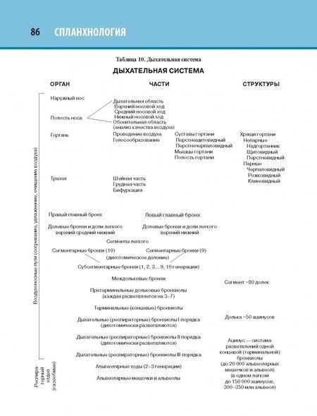 Фотография книги "Лев Колесников: Анатомия человека. Атлас. Том 2. Спланхнология"