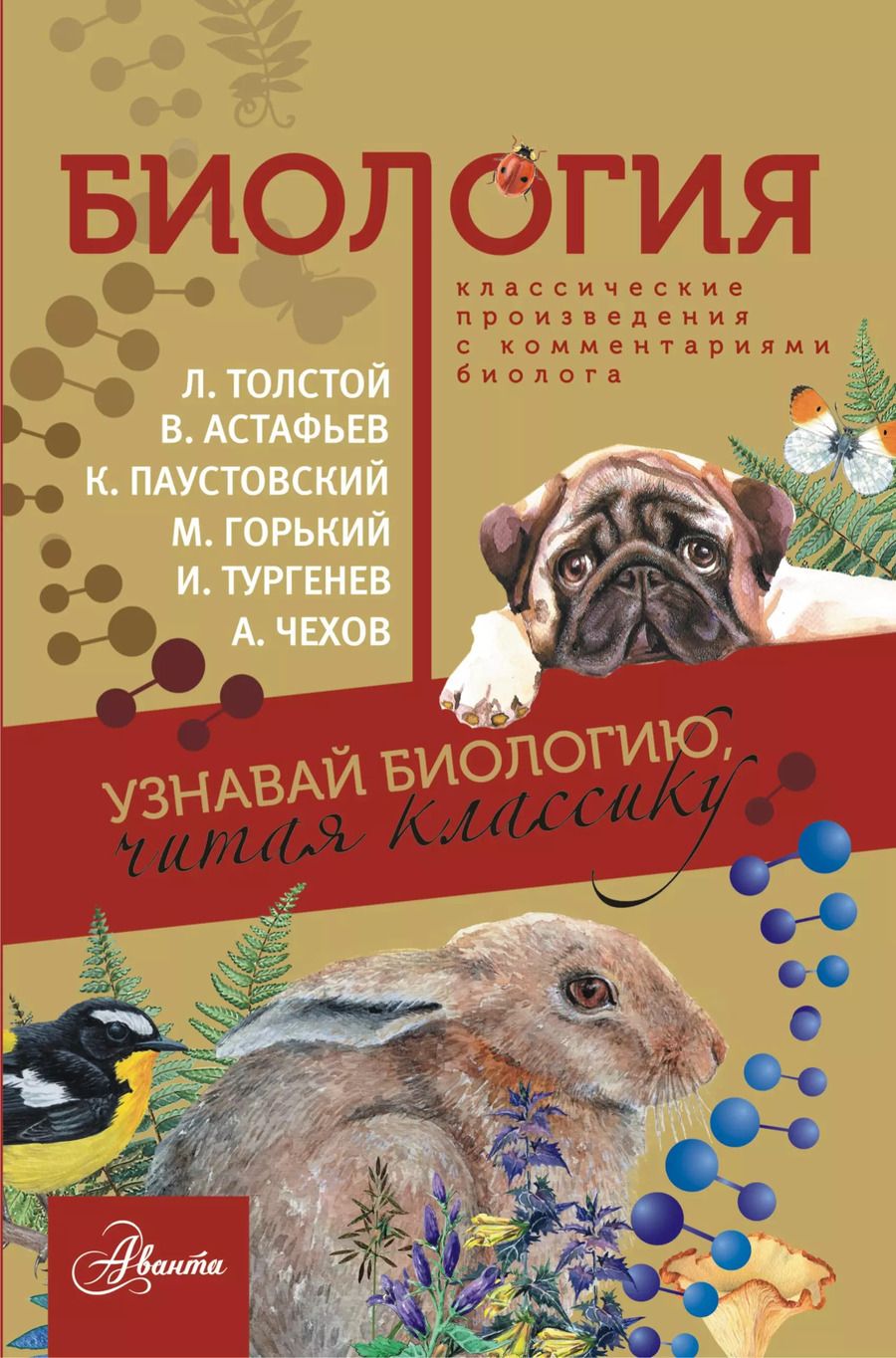 Обложка книги "Лев Толстой: Биология"