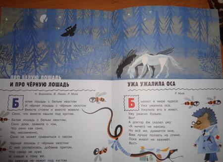 Фотография книги "Левин, Воронель, Муха: Переполох"