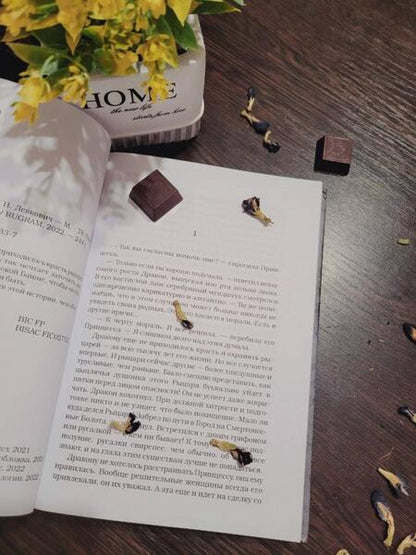 Фотография книги "Левкович: Рыцарь в башне"