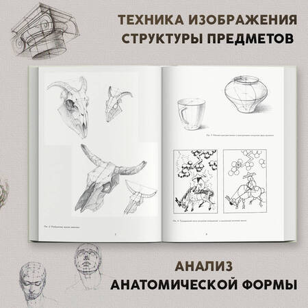 Фотография книги "Ли: Рисунок. Основы учебного академического рисунка. Учебник"