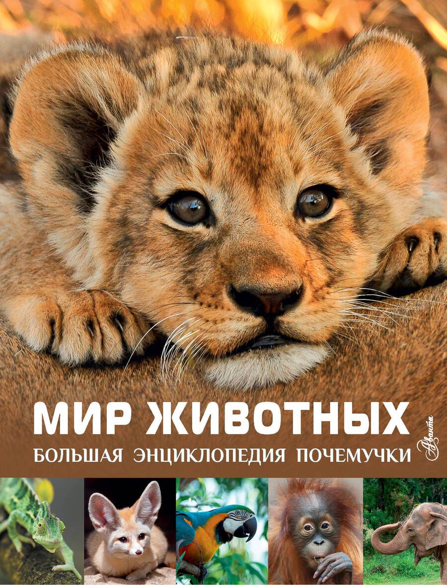 Обложка книги "Лич, Лланд: Мир животных"