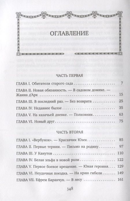 Фотография книги "Лидия Чарская: Смелая жизнь (иллюстр. В. Черны)"