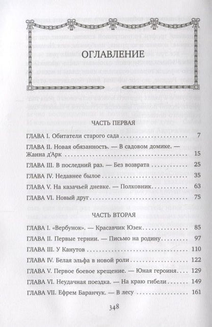 Фотография книги "Лидия Чарская: Смелая жизнь (иллюстр. В. Черны)"