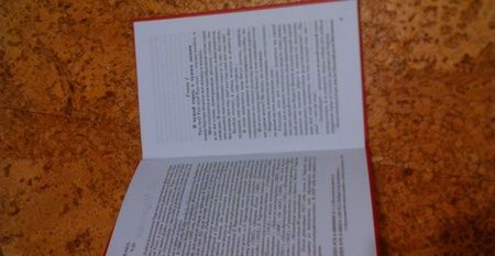 Фотография книги "Лидия Чарская: Записки маленькой гимназистки"