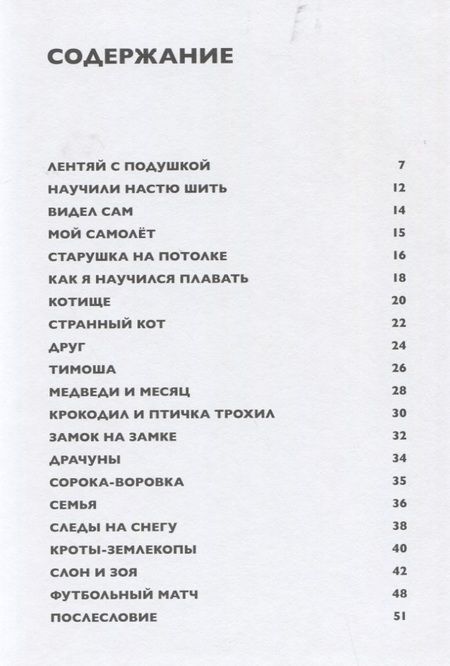 Фотография книги "Лифшиц: Лентяй с подушкой"