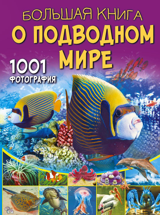 Обложка книги "Ликсо: Большая книга о подводном мире. 1001 фотография"