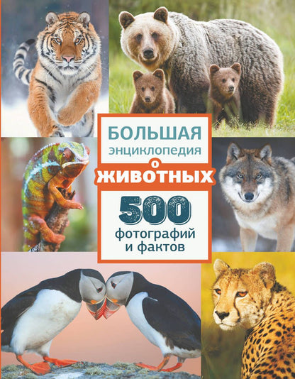 Обложка книги "Ликсо, Карнилович, Вайткене: Большая энциклопедия о животных. 500 фотографий и фактов"