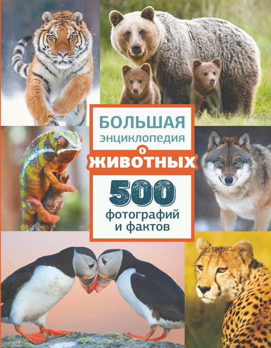 Обложка книги "Ликсо, Карнилович, Вайткене: Большая энциклопедия о животных. 500 фотографий и фактов"