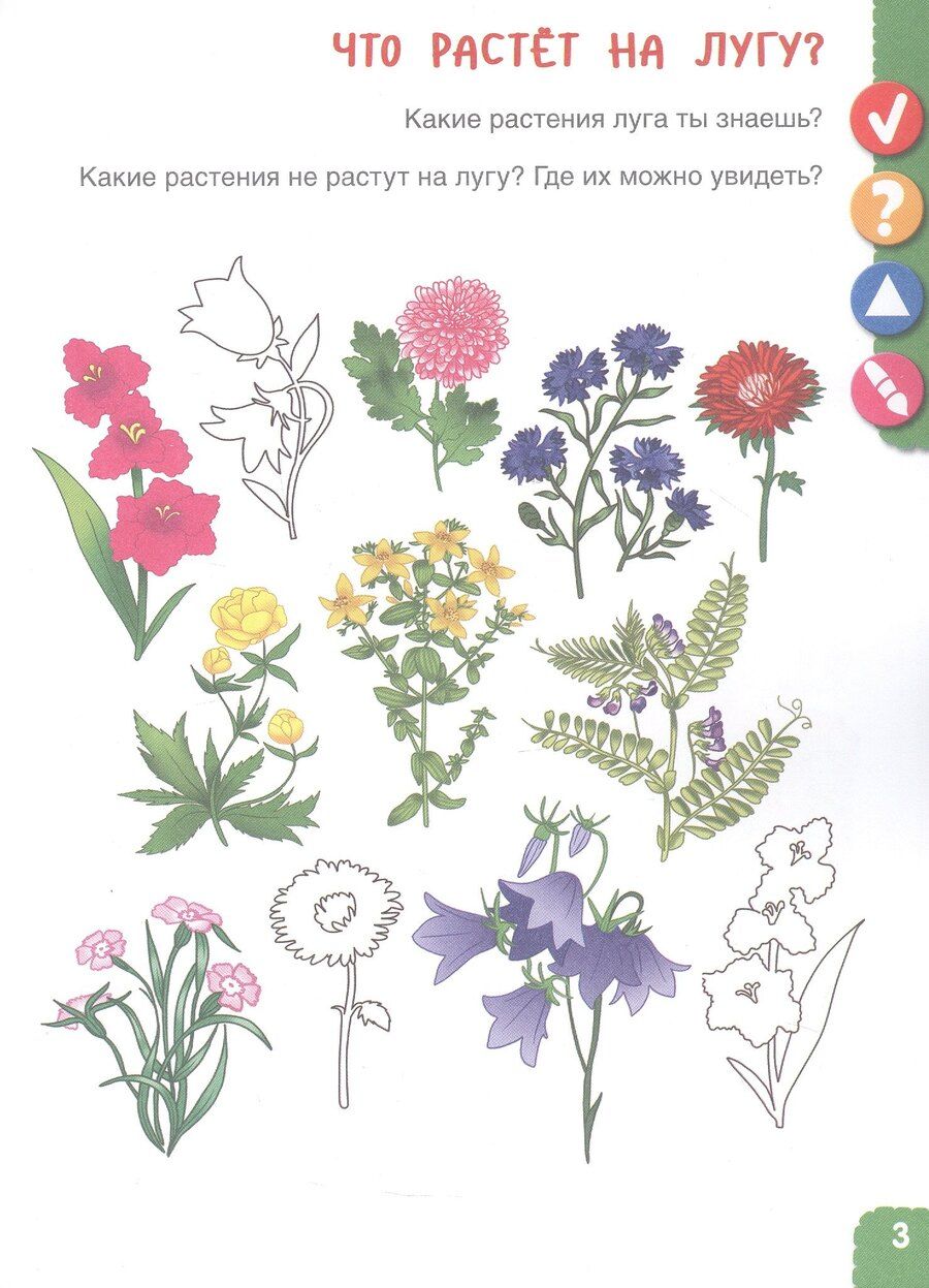 Обложка книги "Лилия Львовна: Удивительное рядом. Ребенок и окружающий мир. Альбом наблюдений. 5-6 лет"