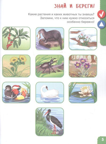 Фотография книги "Лилия Львовна: Удивительное рядом. Ребенок и окружающий мир. Альбом наблюдений. 5-6 лет"