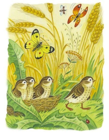 Фотография книги "Лилия Носова: Мамины сказки"