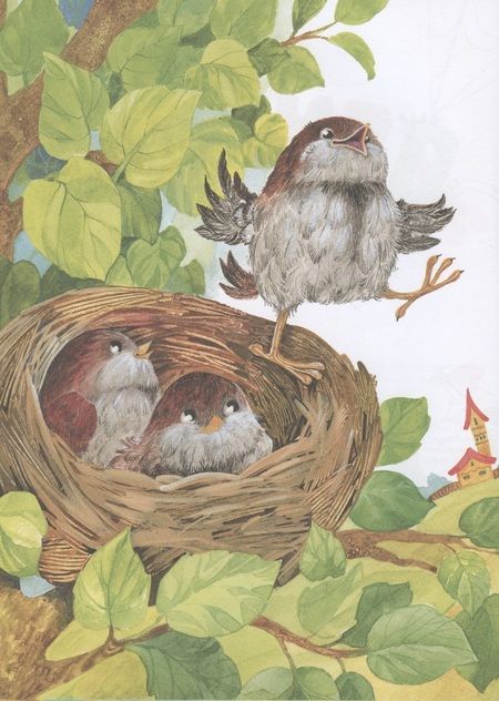 Фотография книги "Лилия Носова: Топ-топ-топ. Сказки для малышей "