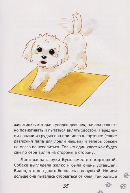 Фотография книги "Лилия Стадник: Краткая инструкция по воспитанию маленьких собачек, или Удивительные истории про Бусю и её друзей"