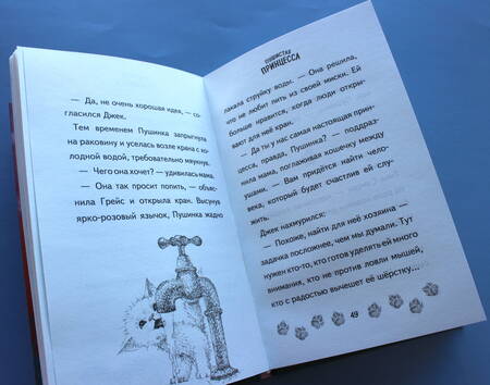 Фотография книги "Линда Чапмен: Пушистая принцесса"