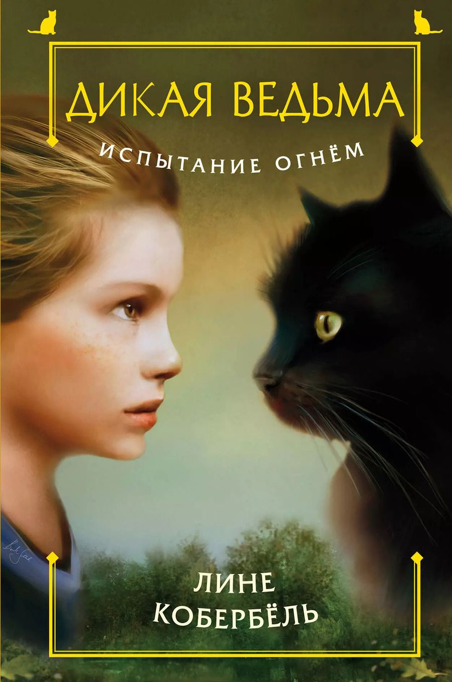 Обложка книги "Лине Кобербёль: Испытание огнем"
