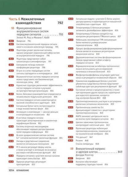 Фотография книги "Линн Кассимерис: Клетки по Льюину"