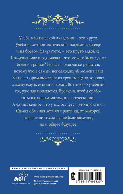 Фотография книги "Лисина: Трое из академии. Трое на практике"