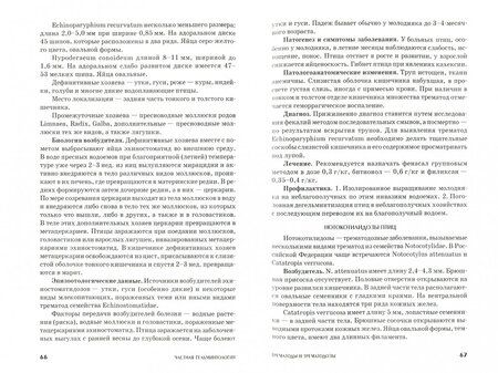 Фотография книги "Литфуллин, Латыпов, Корнишина: Ветеринарная гельминтология. Учебное пособие"