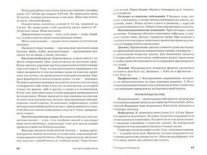 Фотография книги "Литфуллин, Латыпов, Корнишина: Ветеринарная гельминтология. Учебное пособие"