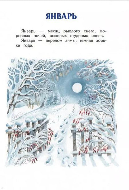 Фотография книги "Ливеровский, Шим: Лесные разговоры"