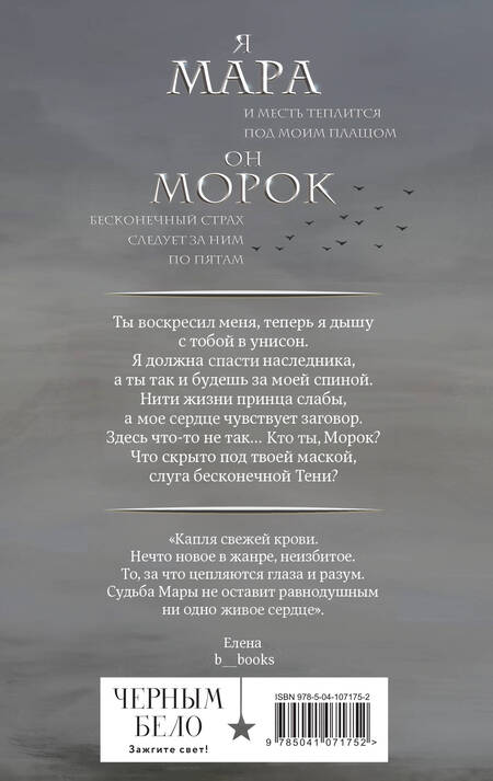 Фотография книги "Лия Арден: Мара и Морок (книга+тетрадь)"