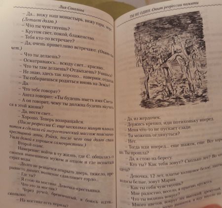 Фотография книги "Лия Соколова: Рэйки: Ты не один. Опыт регрессии памяти"