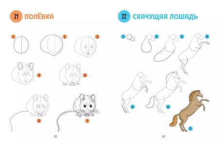 Фотография книги "Лиз Эрцог: Большая книга животных. 300 рисунков шаг за шагом"