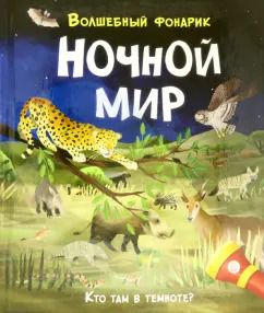 Обложка книги "Лиза Риган: Волшебный фонарик. Ночной мир"