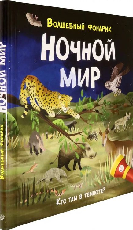 Фотография книги "Лиза Риган: Волшебный фонарик. Ночной мир"