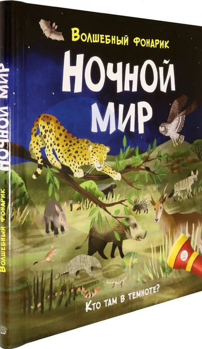Фотография книги "Лиза Риган: Волшебный фонарик. Ночной мир"