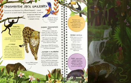 Фотография книги "Лиза Риган: Волшебный фонарик. Ночной мир"