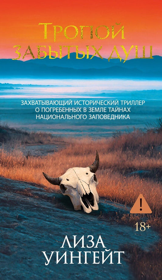 Обложка книги "Лиза Уингейт: Тропой забытых душ"