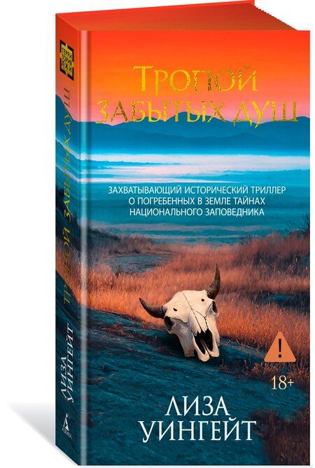 Фотография книги "Лиза Уингейт: Тропой забытых душ"