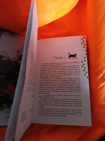 Фотография книги "Логвин: Упал. Очнулся. Папа!"