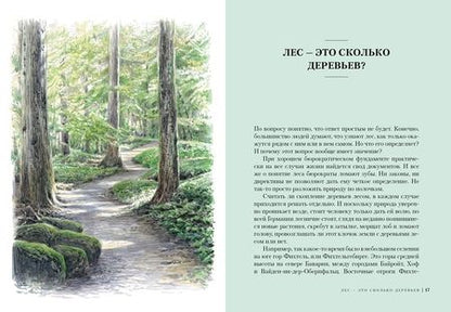 Фотография книги "Лохнер: Лес. Как устроена лесная экосистема"